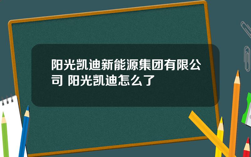 阳光凯迪新能源集团有限公司 阳光凯迪怎么了